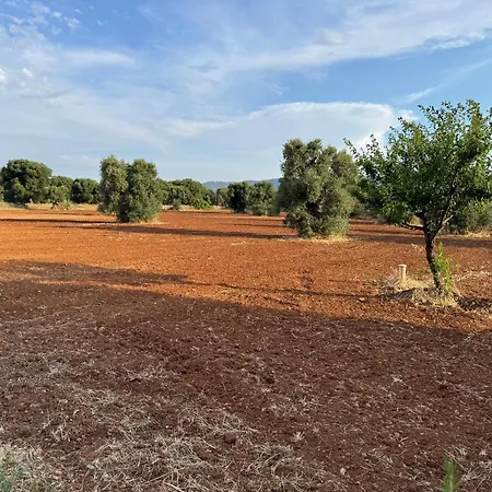 La Corte Di Nunu'
